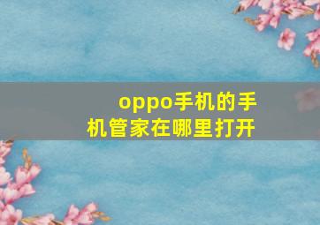 oppo手机的手机管家在哪里打开