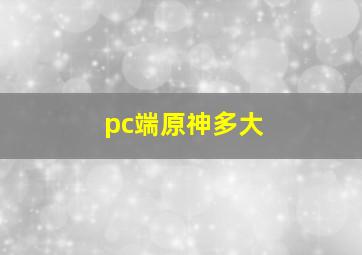 pc端原神多大