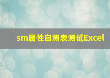 sm属性自测表测试Excel