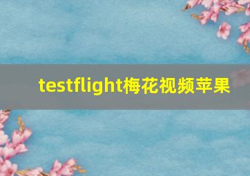 testflight梅花视频苹果