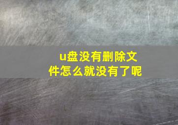 u盘没有删除文件怎么就没有了呢