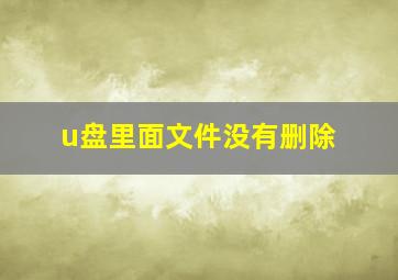 u盘里面文件没有删除