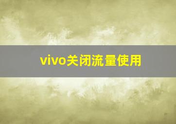 vivo关闭流量使用