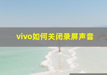 vivo如何关闭录屏声音