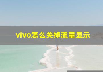 vivo怎么关掉流量显示