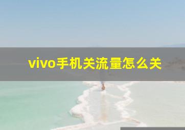 vivo手机关流量怎么关