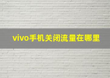 vivo手机关闭流量在哪里