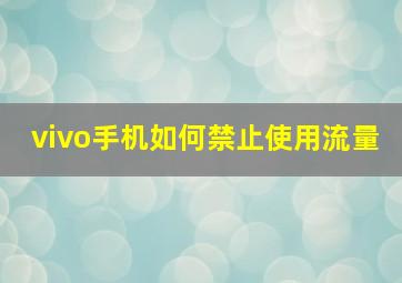 vivo手机如何禁止使用流量