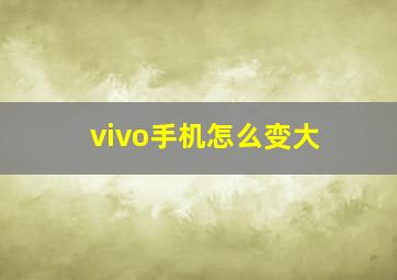 vivo手机怎么变大