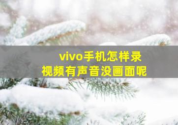 vivo手机怎样录视频有声音没画面呢