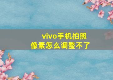 vivo手机拍照像素怎么调整不了