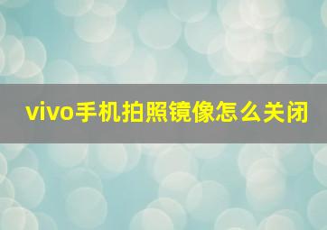 vivo手机拍照镜像怎么关闭