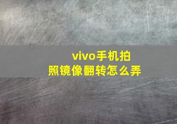 vivo手机拍照镜像翻转怎么弄