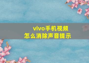 vivo手机视频怎么消除声音提示