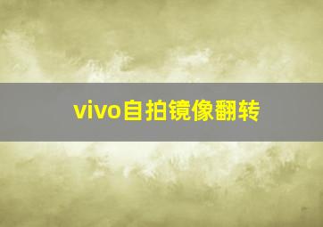 vivo自拍镜像翻转