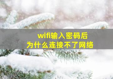 wifi输入密码后为什么连接不了网络