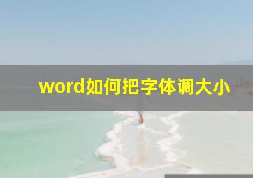 word如何把字体调大小