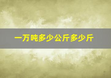 一万吨多少公斤多少斤