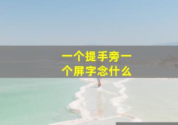 一个提手旁一个屏字念什么