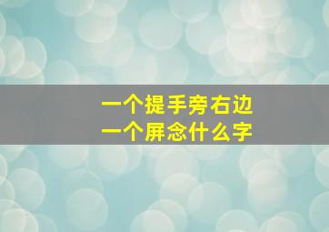 一个提手旁右边一个屏念什么字