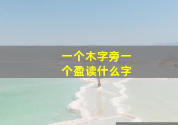 一个木字旁一个盈读什么字