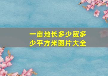 一亩地长多少宽多少平方米图片大全