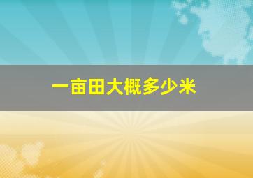 一亩田大概多少米