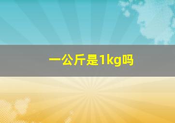 一公斤是1kg吗