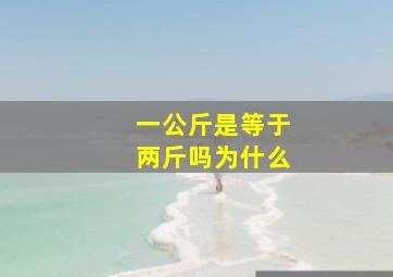 一公斤是等于两斤吗为什么