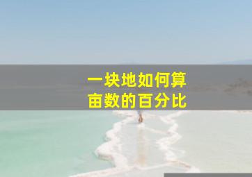 一块地如何算亩数的百分比