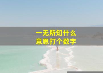 一无所知什么意思打个数字