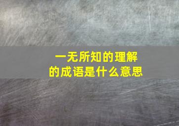 一无所知的理解的成语是什么意思