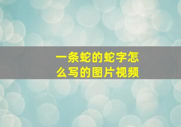 一条蛇的蛇字怎么写的图片视频