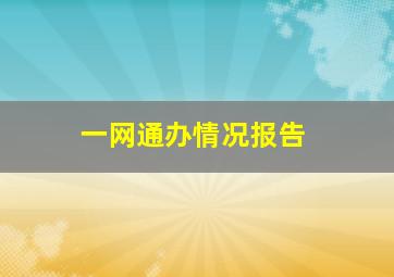 一网通办情况报告