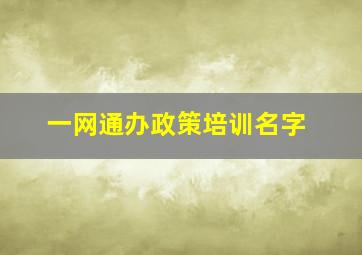 一网通办政策培训名字