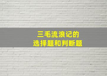 三毛流浪记的选择题和判断题