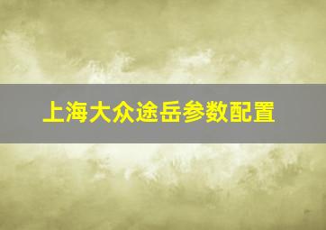 上海大众途岳参数配置