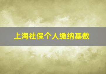 上海社保个人缴纳基数