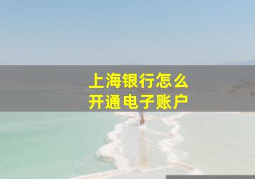 上海银行怎么开通电子账户