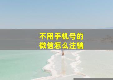 不用手机号的微信怎么注销