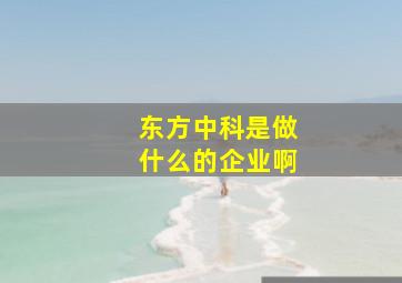 东方中科是做什么的企业啊