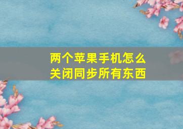 两个苹果手机怎么关闭同步所有东西