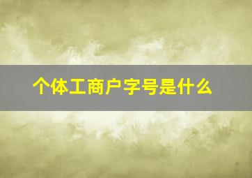 个体工商户字号是什么