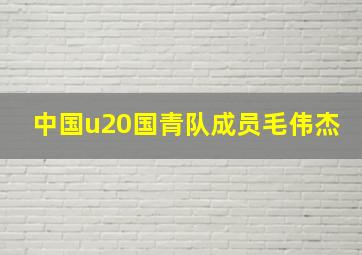 中国u20国青队成员毛伟杰