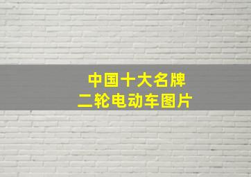 中国十大名牌二轮电动车图片