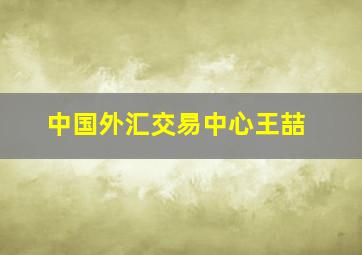 中国外汇交易中心王喆