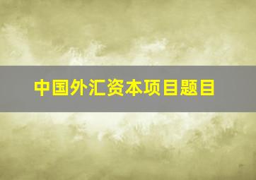 中国外汇资本项目题目