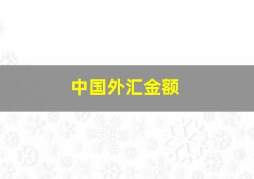 中国外汇金额