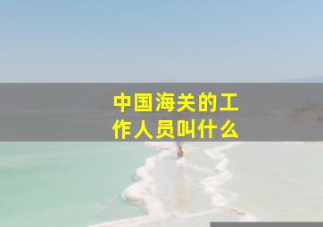 中国海关的工作人员叫什么