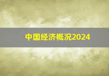 中国经济概况2024